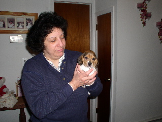 /i/DOGS/P4120040_2.JPG